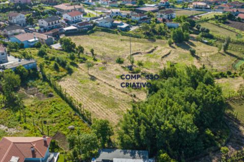 Terra a Longos, Braga, Longos - € 700.000 | Ref: 230120251 - foto 17